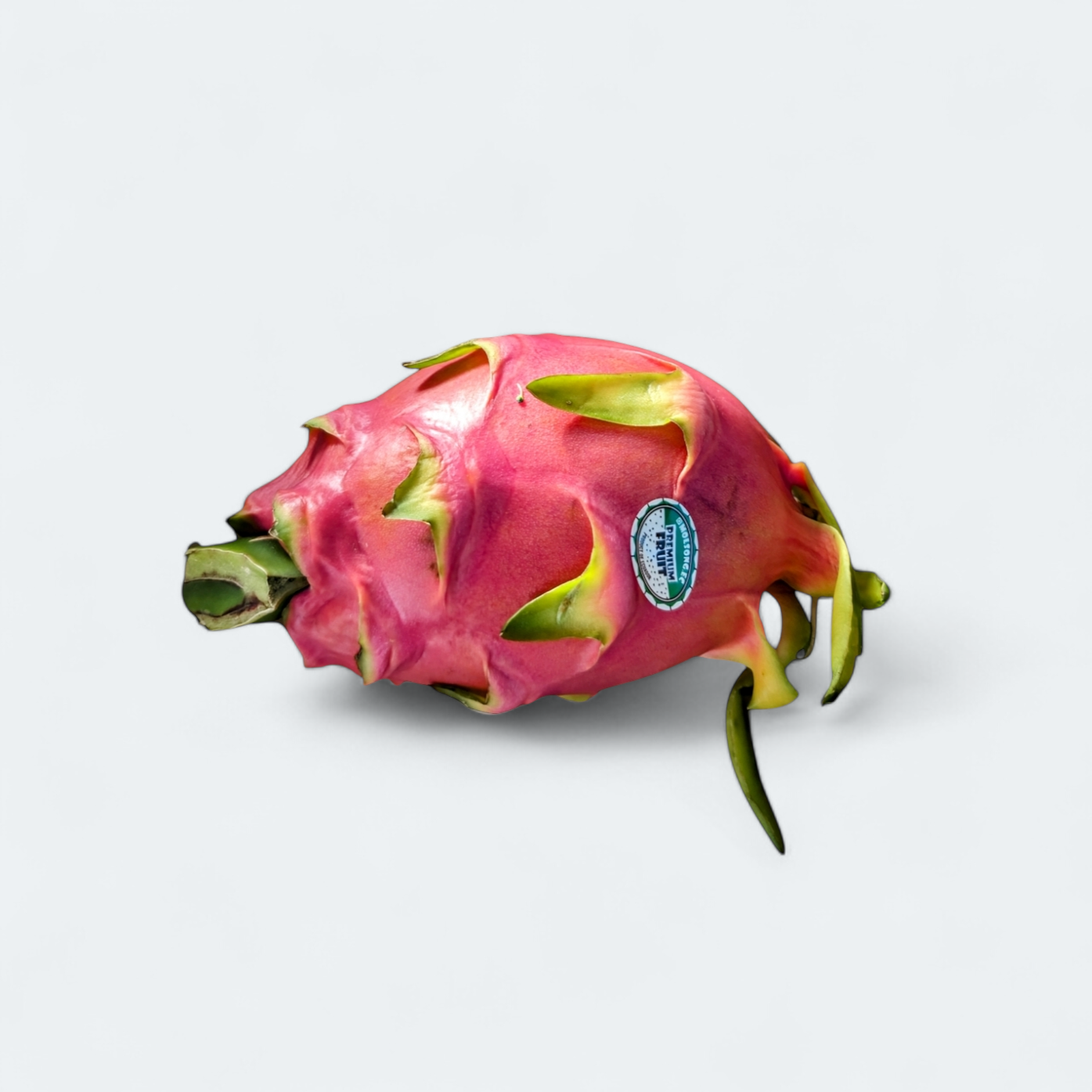 Pitaja/Dragon Fruit - 1 kos
