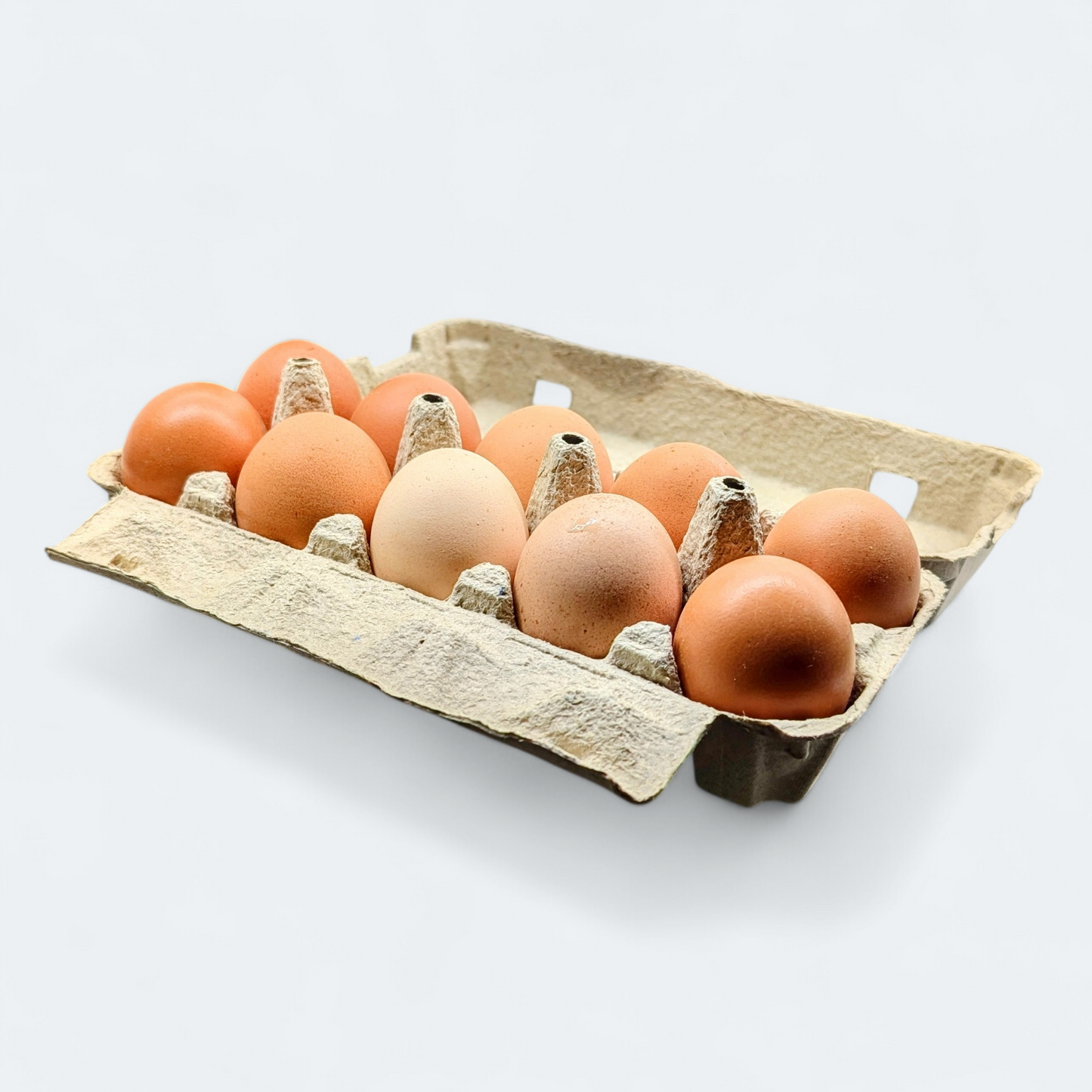 Sveža jajca proste reje - 10 kos