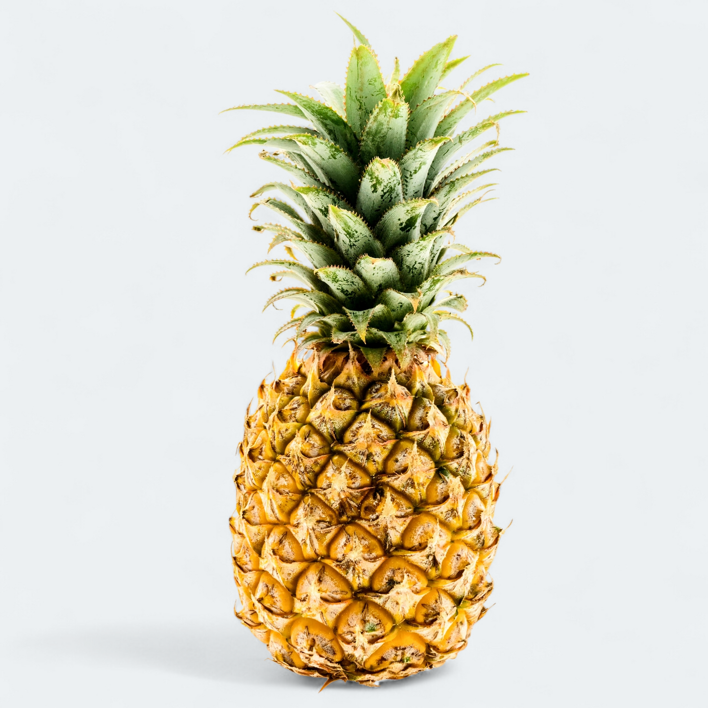 Letalski Ananas Del Monte - 1 kos