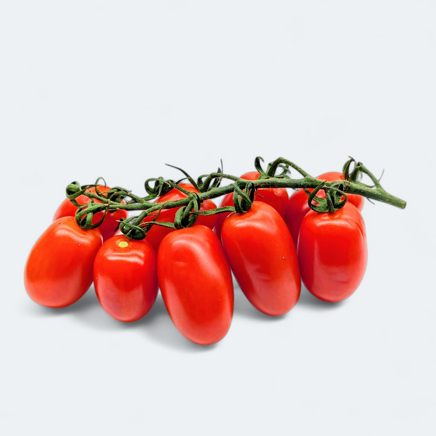 Paradižnik dateljev - 500 g