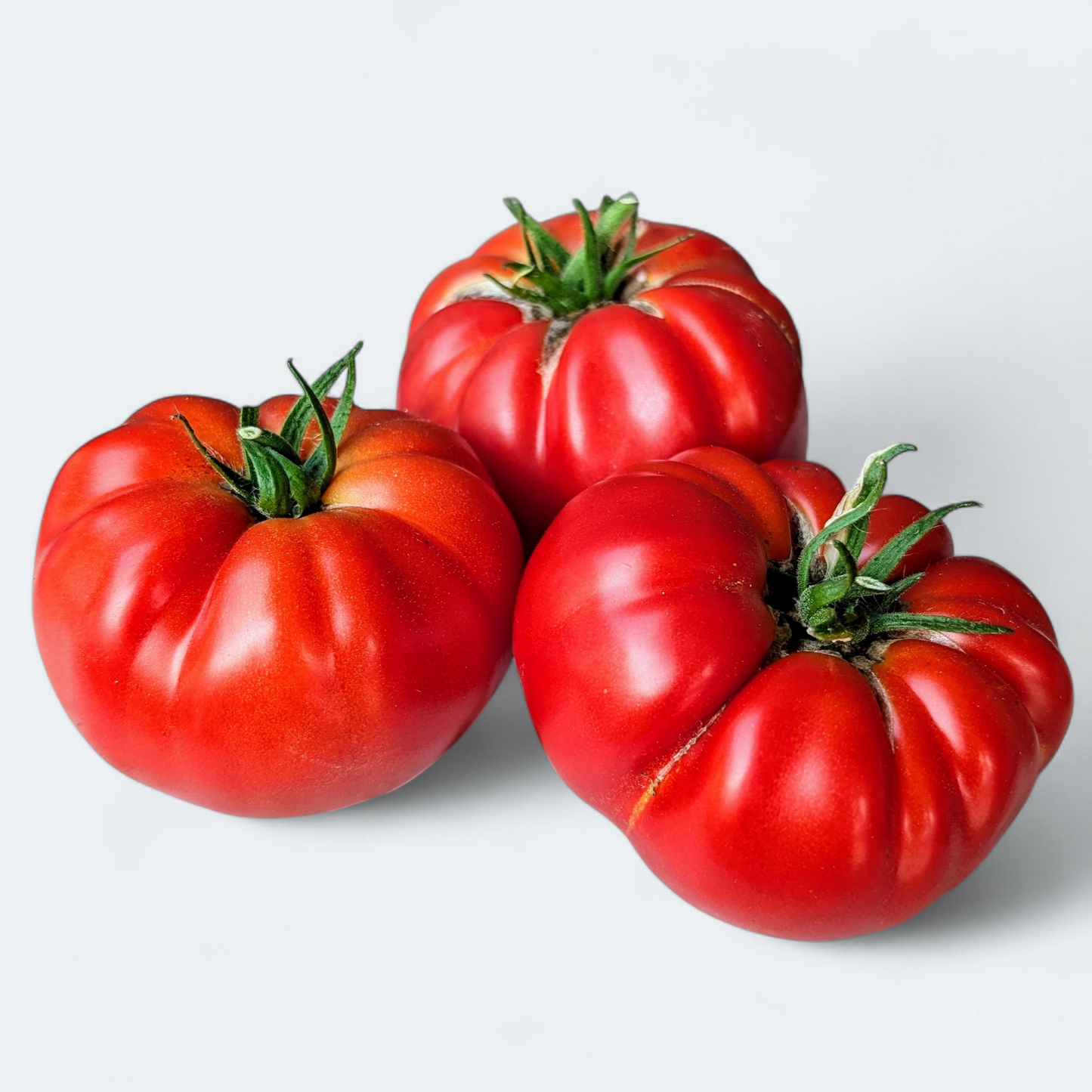 Paradižnik Volovsko srce starih sort - 1 kg