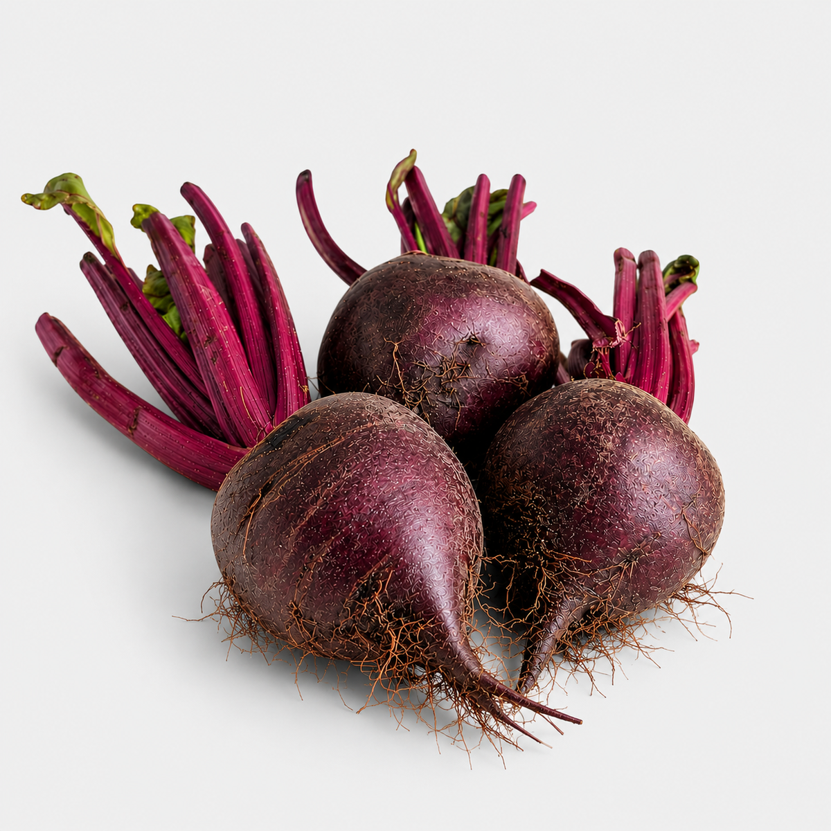 Mlada rdeča pesa - 1 kg
