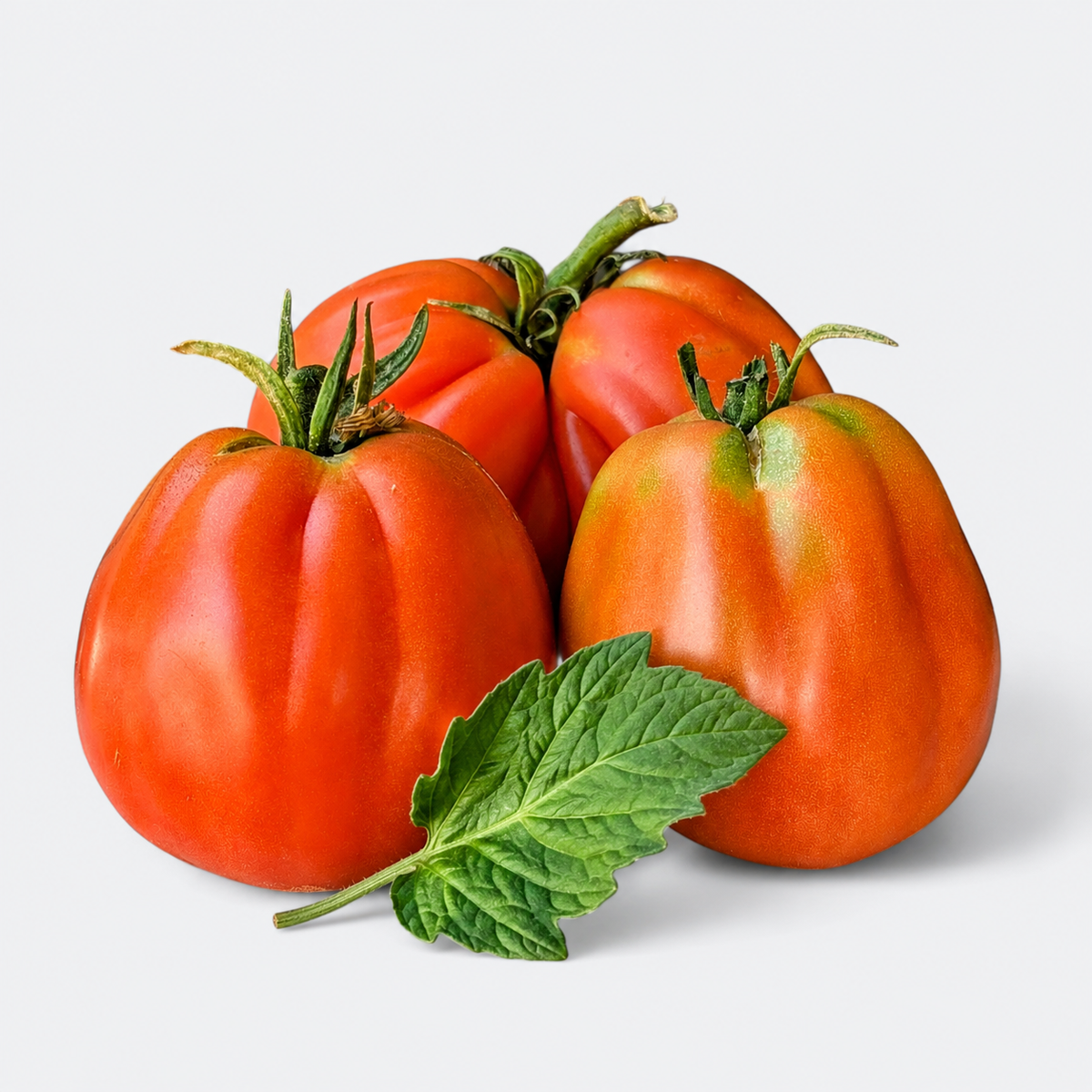 Paradižnik Volovsko srce - 1 kg