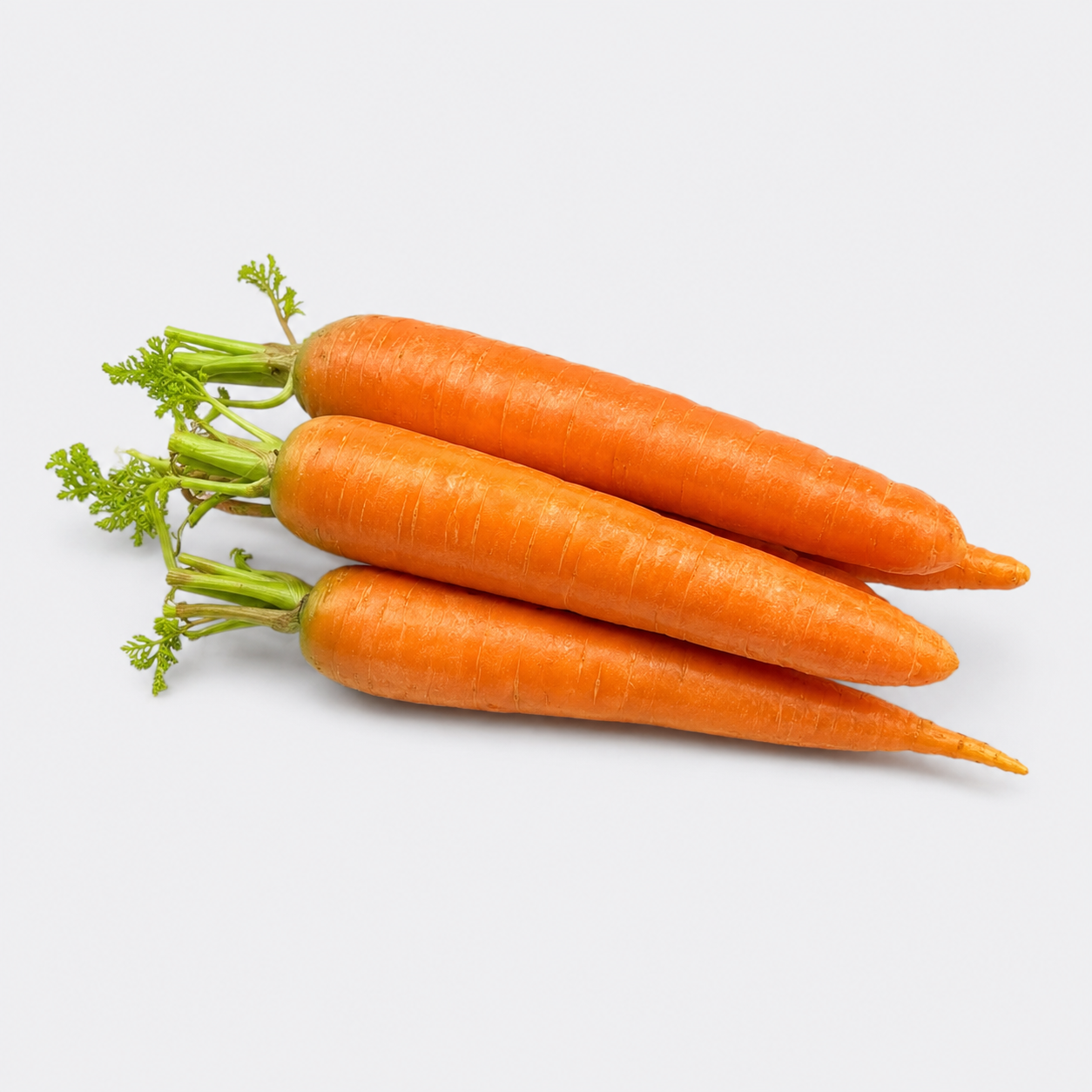 Korenje rdeče - 1 kg