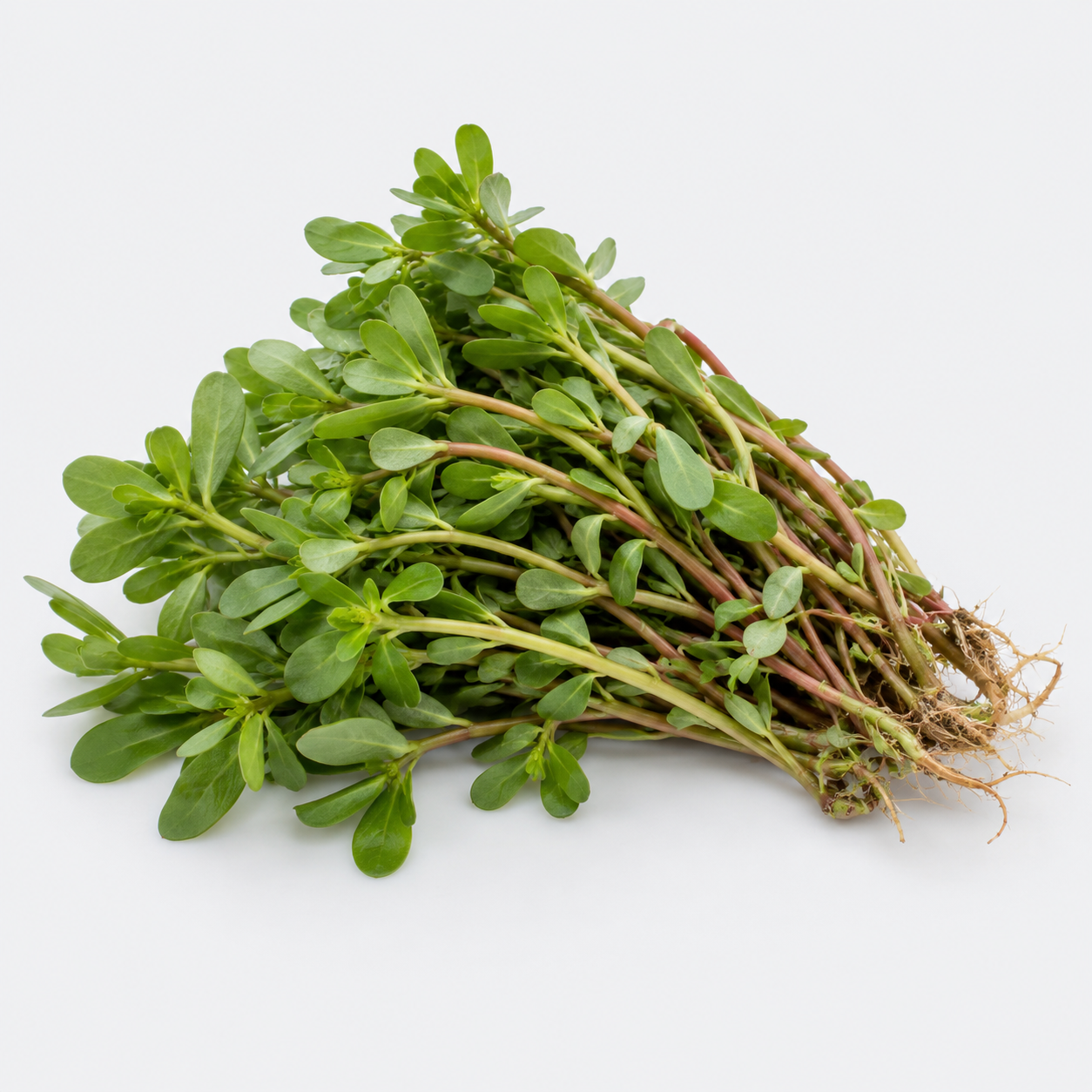 Portulak - 1 kg