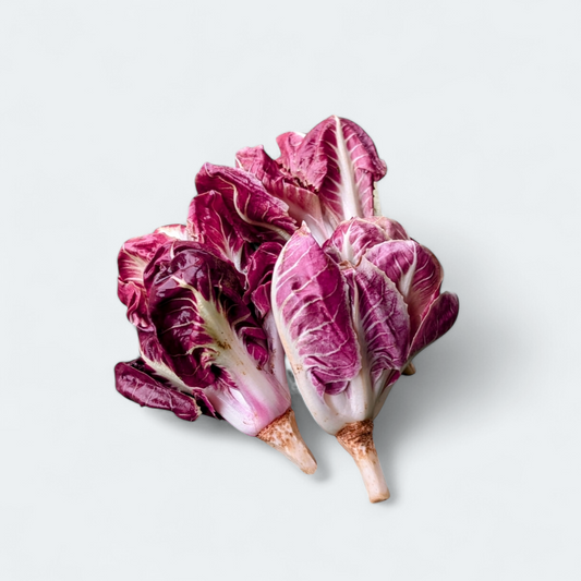 Premium radič Verona siljen - 250 g