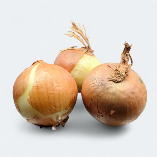 Rumena čebula - 1 kg
