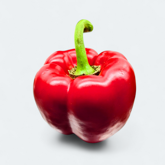 Paprika rdeča - 1 kos