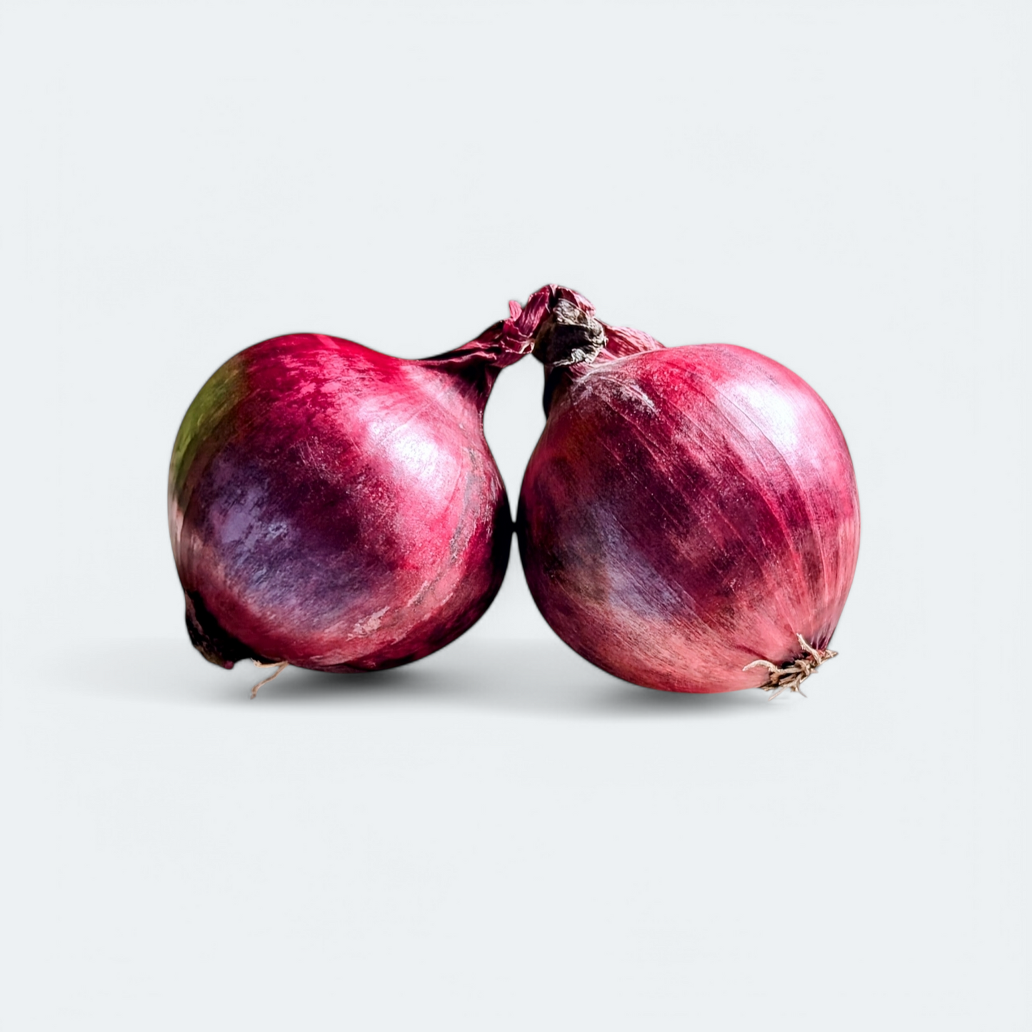 Čebula rdeča - 1 kg