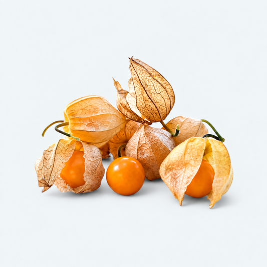 Perujske jagode Physalis