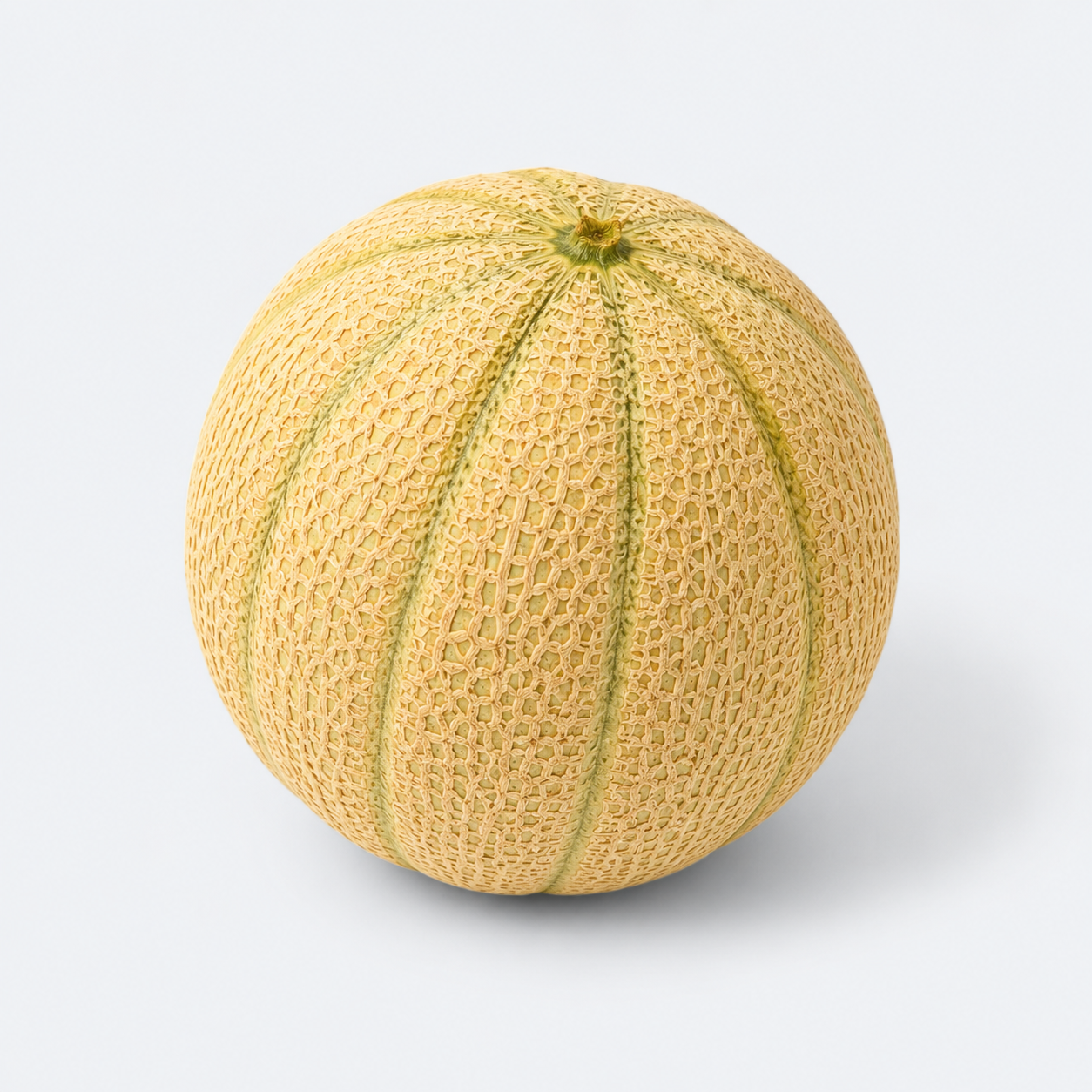Melona - 1 kos