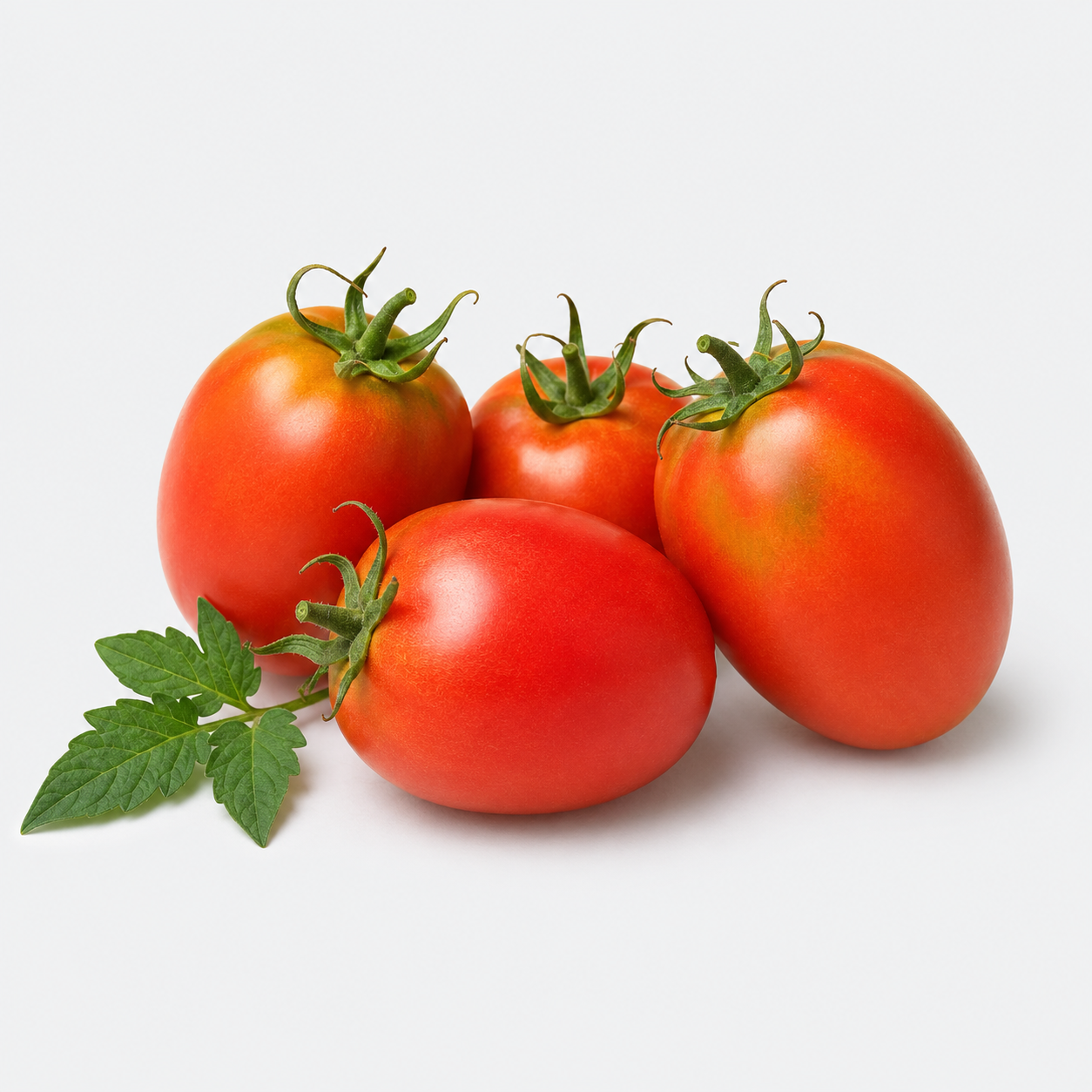 Paradižnik San Marzano - 1 kg