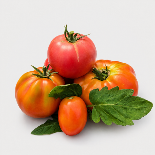 Premium paradižnik Mix - 1 kg