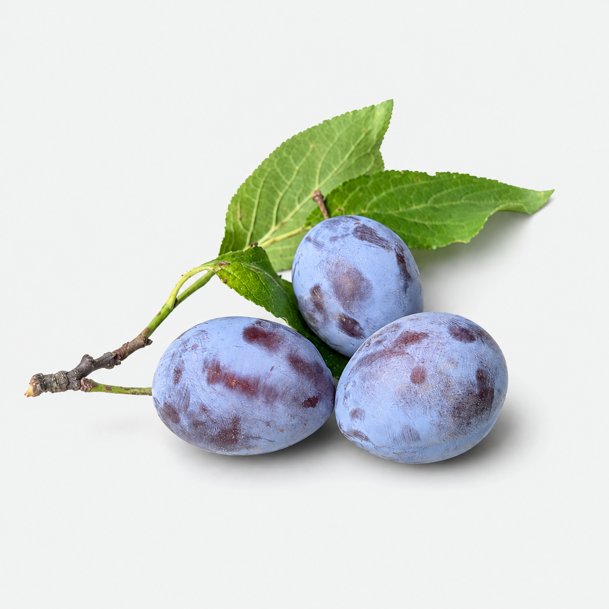 Domače slive neškropljene - 1 kg