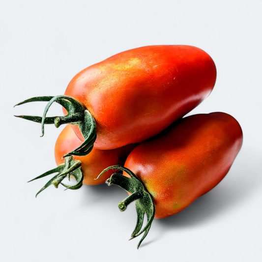 Paradižnik San Marzano - 1 kg