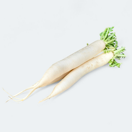 Daikon redkev - pivska repa - 1 kg