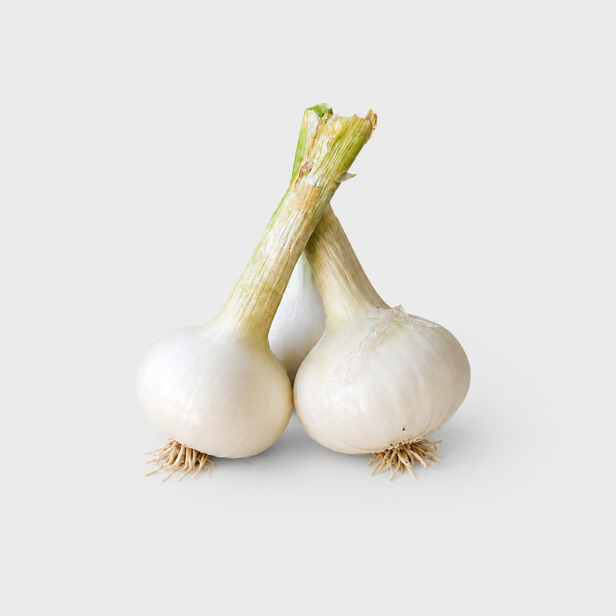 Sveža čebula - 1 kg