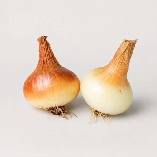Ptujska čebula rumena - 1 kg