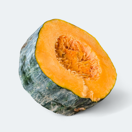 Buča Zucca di Napoli - 1 kos