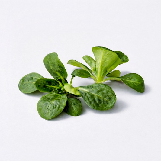 Premium motovilec Žličar - 250 g